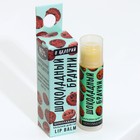 Бальзам для губ в стике МИКС, 5 видов (цена за 1 шт) (комплект 3 шт) - фото 25267655