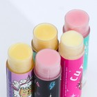 Бальзам для губ в стике МИКС, 5 видов (цена за 1 шт) (комплект 3 шт) - фото 25267659