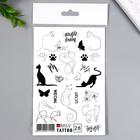 Переводные тату на тело чёрные «Котики», 10×15 см 7025972 - фото 16546993