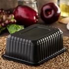 Контейнер одноразовый «Южуралпак», КР-179, пластик, 1 л, 17.9×13.2×6.7 см, чёрный - Фото 5