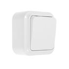 Выключатель BYLECTRICA А5 6-224 АКВА, 6 А, 2 клавиши, наружный, белый  (артикул 7024862)  большой выбор товаров оптом и в розницу по низким ценам с доставкой