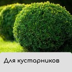 Чехол для растений, 60 × 56 см, спанбонд, МИКС - Фото 6