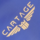 Термосумка Cartage Т-08, синяя, 10 л, 26х19х19 см 7049936 - фото 13498840