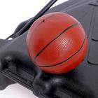 Набор для баскетбола «Профи», высота от 180 до 230 см - фото 6428255