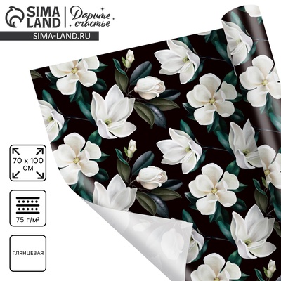 Бумага упаковочная глянцевая «Магнолия», 70 х 100 см