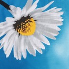 Чехол для гладильной доски Nika, 130×52 см, рисунок МИКС - Фото 2
