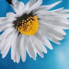 Чехол для гладильной доски Nika, 130×52 см, с поролоном, МИКС - Фото 3