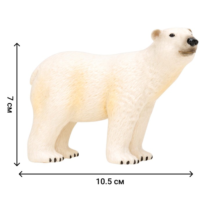 Набор фигурок «Мир морских животных: семья белых медведей», 6 фигурок - фото 1905800409