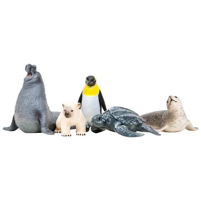 Набор фигурок «Мир морских животных», 5 фигурок - фото 1905800418