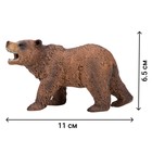 Набор фигурок «Мир диких животных: семья медведей», 4 предмета - Фото 3