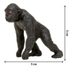Набор фигурок «Мир диких животных: семья горилл», 4 предмета - Фото 5