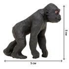 Набор фигурок «Мир диких животных: семья горилл», 4 предмета - Фото 6