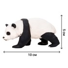 Набор фигурок «Мир диких животных: семья панд», 4 предмета - фото 8672779