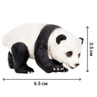 Набор фигурок «Мир диких животных: семья панд», 4 предмета - фото 8672781