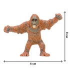 Набор фигурок «Мир диких животных: семья орангутангов», 4 предмета - Фото 5