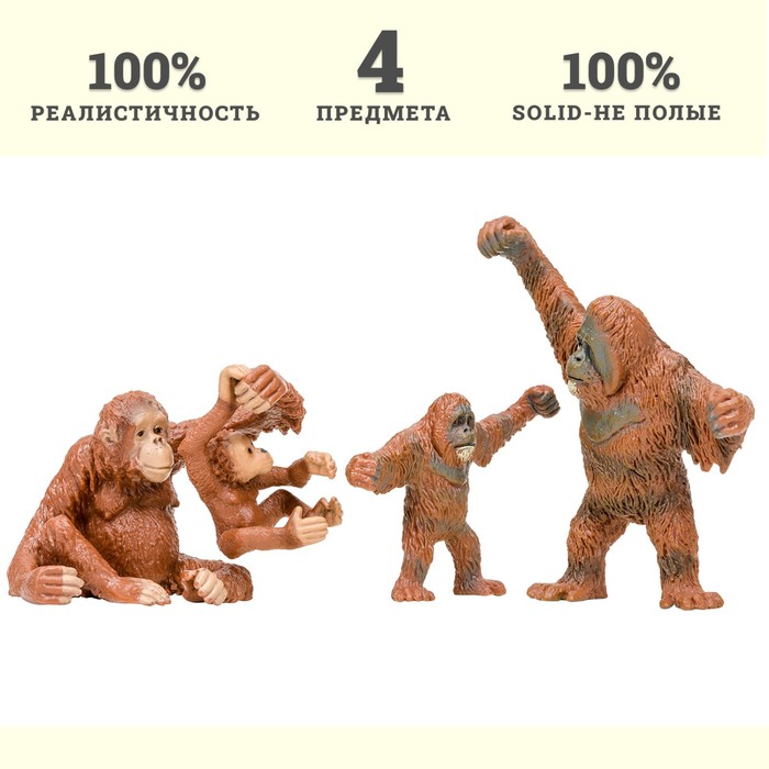 Набор фигурок «Мир диких животных: семья орангутангов», 4 предмета - фото 1905802079