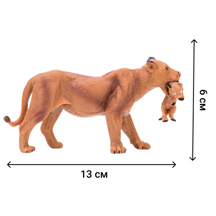 Набор фигурок «Мир диких животных: семья львов», 6 предметов - фото 1905802086