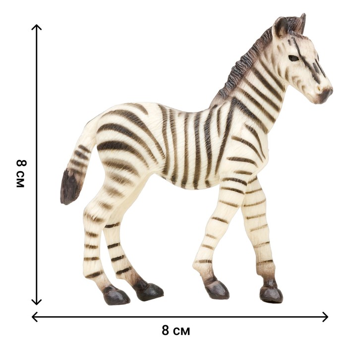 Набор фигурок «Мир диких животных: семья зебр», 5 предметов - фото 1905802120
