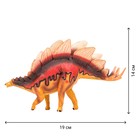 Фигурка динозавра «Мир динозавров: стегозавр», 19 см - Фото 5