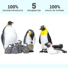 Набор фигурок «Мир морских животных: семья пингвинов», 5 фигурок - Фото 8