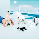 Набор фигурок «Мир морских животных: семья пингвинов», 5 фигурок - Фото 9