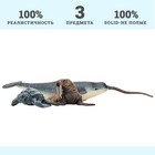 Набор фигурок «Мир морских животных», 3 фигурок - Фото 7