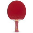 Набор для настольного тенниса Atemi STRIKE: 2 ракетки, чехол, 3 мяча - Фото 3