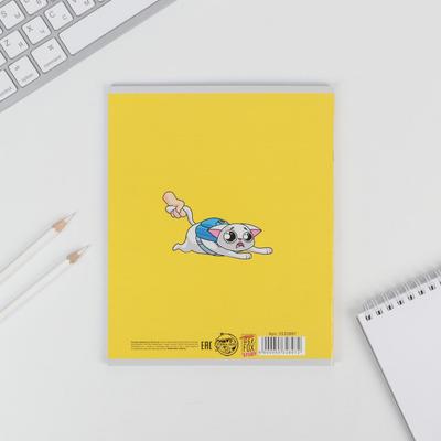 Тетрадь в клетку, предметная, 48 л., на скрепке, А5 «ПЕРСОНАЖИ. Биология»