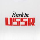 Футболка KAFTAN «USSR» р. M (48), белый - фото 21286224