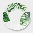 Столовый сервиз «Лист папоротника», 37 предметов, стеклокерамика, белый - Фото 13