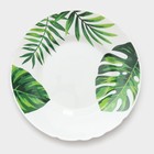 Столовый сервиз «Лист папоротника», 37 предметов, стеклокерамика, белый - Фото 16