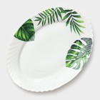 Столовый сервиз «Лист папоротника», 37 предметов, стеклокерамика, белый - Фото 19