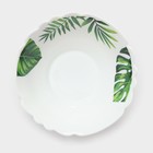 Столовый сервиз «Лист папоротника», 37 предметов, стеклокерамика, белый - Фото 8