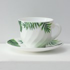 Чайный сервиз Avvir «Лист папоротника», 12 предметов: чашка 200 мл, блюдце d=14 см, стеклокерамика, белый - Фото 3