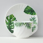 Чайный сервиз Avvir «Лист папоротника», 12 предметов: чашка 200 мл, блюдце d=14 см, стеклокерамика, белый - Фото 4