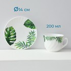 Чайный сервиз Avvir «Лист папоротника», 12 предметов: чашка 200 мл, блюдце d=14 см, стеклокерамика, белый - Фото 5