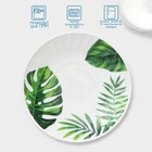 Чайный сервиз Avvir «Лист папоротника», 12 предметов: чашка 200 мл, блюдце d=14 см, стеклокерамика, белый - Фото 2