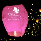 Фонарик желаний «Исполню все твои мечты» купол, розовый - Фото 2