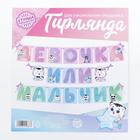 Гирлянда на ленте «Гендер пати», которусалка, длина 220 см - фото 21286716