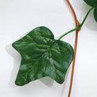 Лиана "Виноградные листы" 220см (цена за 1шт, фасовка 5шт) (комплект 5 шт) - фото 60792864