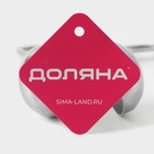 Форма для фрикаделек Доляна, 18×8×4.9 см, нержавеющая сталь, цвет серебристый - Фото 5