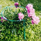 Кустодержатель, d = 50 см, h = 60 см, ножка d = 0.3 см, металл, набор 2 шт., зелёный, Greengo - Фото 4