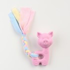 Игрушка жевательная Пижон Premium "Свинка", 10 х 6 х 3,5 см, розовая - фото 6429362