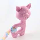 Игрушка жевательная Пижон Premium "Свинка", 10 х 6 х 3,5 см, розовая - фото 6429363