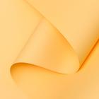 Пленка для цветов тонированная, матовая, дынная, 0,5 х 10 м, 70 мкм - Фото 1