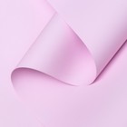 Пленка для цветов тонированная, матовая, нежная сирень, 0,5 х 10 м, 70 мкм - Фото 4