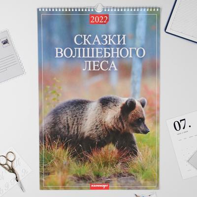 Календарь перекидной на ригеле "Сказки волшебного леса" 2022 год, 320х480 мм