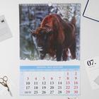 Календарь перекидной на ригеле "Сказки волшебного леса" 2022 год, 320х480 мм - Фото 2