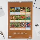 Календарь перекидной на ригеле "Дары леса" 2022 год, 320х480 мм - Фото 3
