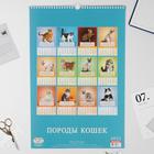 Календарь перекидной на ригеле "Породы кошек" 2022 год, 320х480 мм - Фото 3